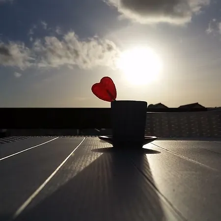 Charming Ocean View Heated Pool * לוס כריסטיאנוס